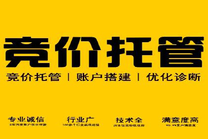 SEM推广优化实战：案例与策略分析